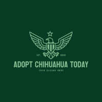 adoptchihuahuatoday.com